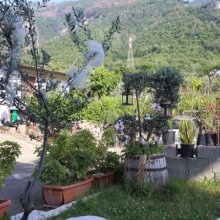 Annabella'S Country House SantʼAntonio Abate Exterior foto
